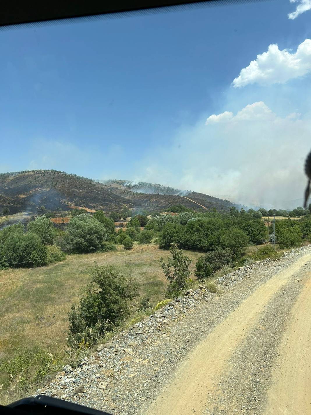 Elazığ'da orman yangını 28